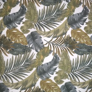 green palm leaves5